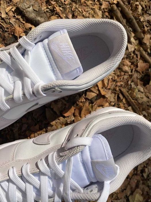 Nike SB dunk low/shoes R.45