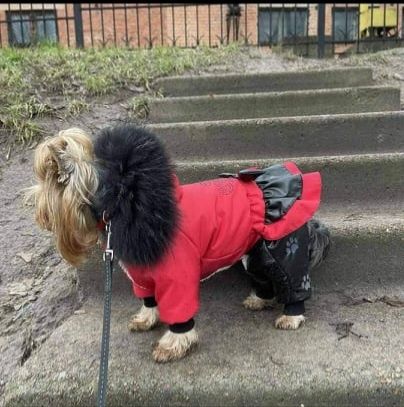 Зимовий комбінезон для улюбленця. Б/у.