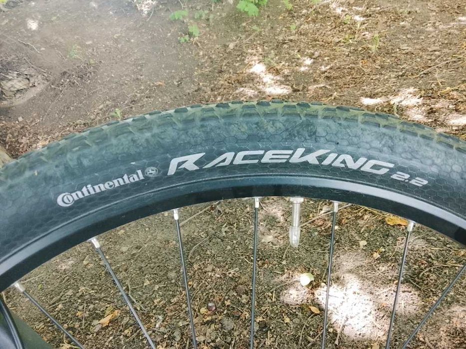 MTB Fokus black forest
