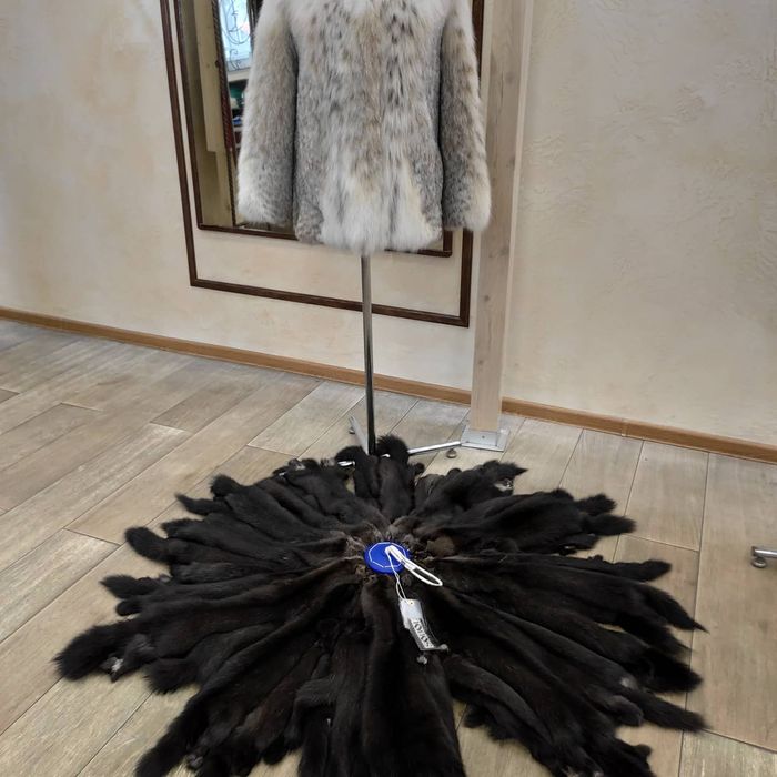 Шкурки  соболя Италия