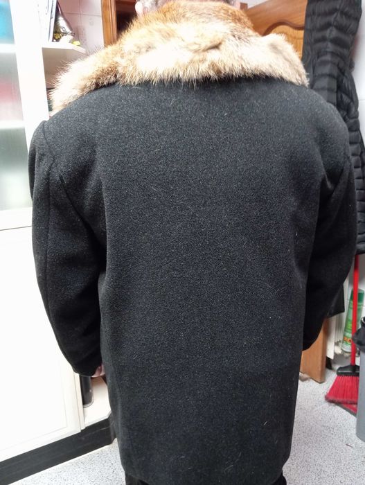 Samarra Alentejana com pêlo raposa