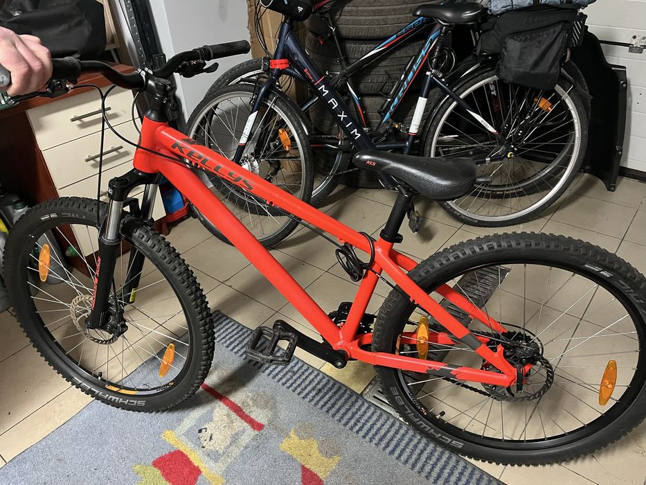 Rower dirt Kellys  WHIP 10