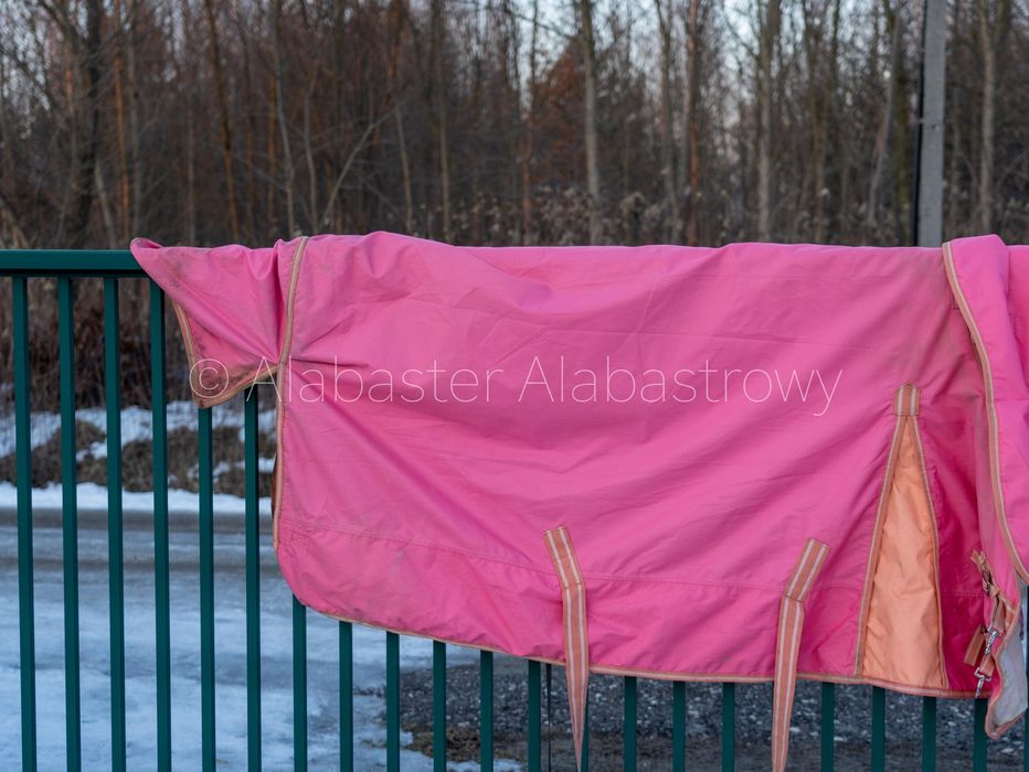 Różowa derka padokowa z kapturem 100g 135 cm