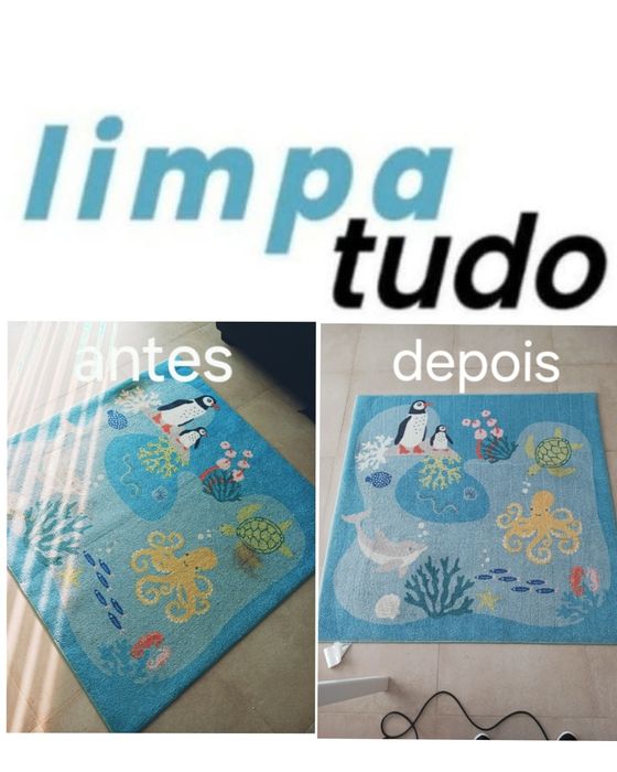 Limpeza de sofás, tapetes e camas