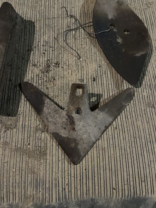 Лапа стрельчатая КРН