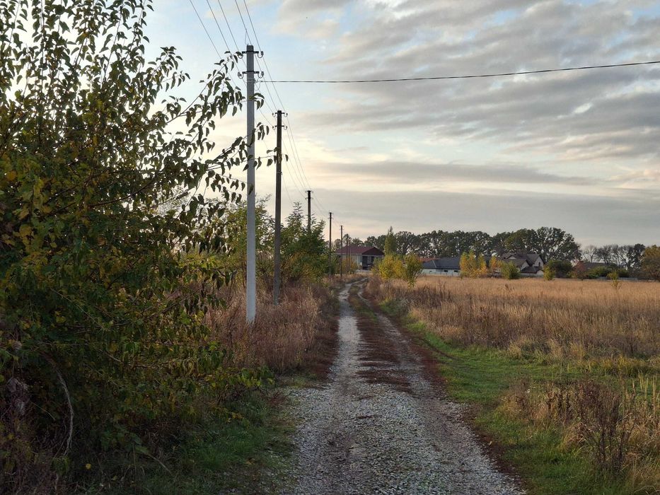 Земельна ділянка, Піщане, 12.5 соток