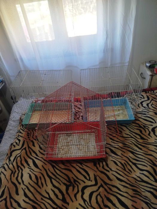 Gaiolas para venda