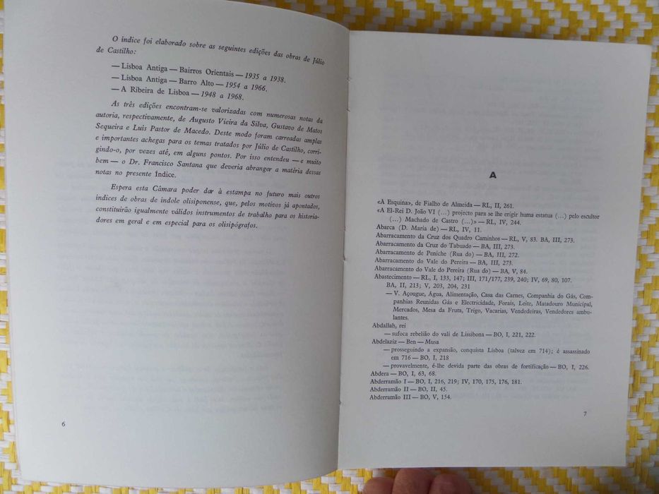 Índice da Lisboa Antiga e da Ribeira de Lisboa de Júlio Castilho