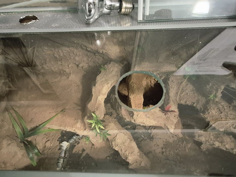 Terrarium 80x40x50