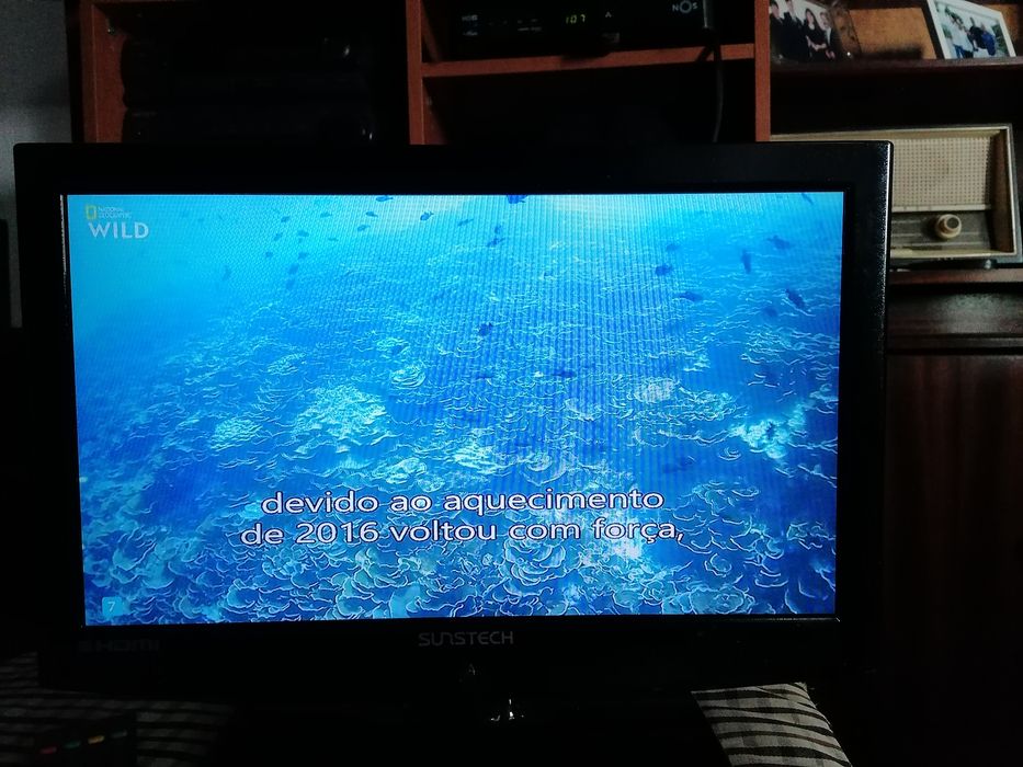 LCD Sunstech 19"