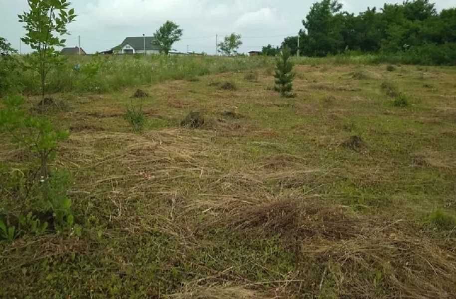 Ділянка село Лісові Гринівці