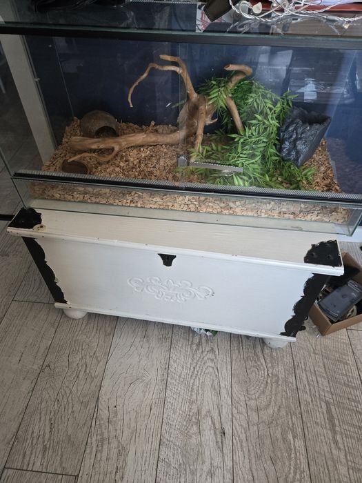 Terarium  używane stan jak nowe