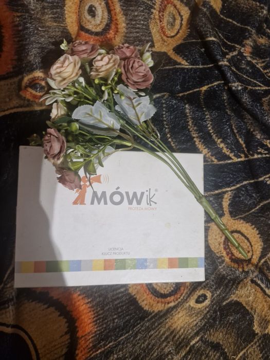 Program mówik nie uzywany