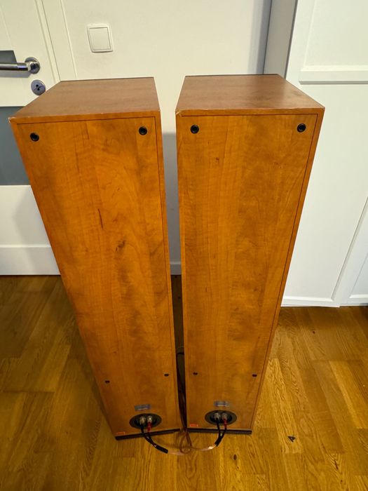 Dynaudio audience 82