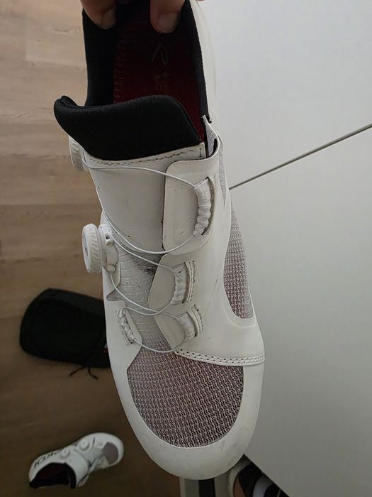 Sapatos Estrada Ekoi