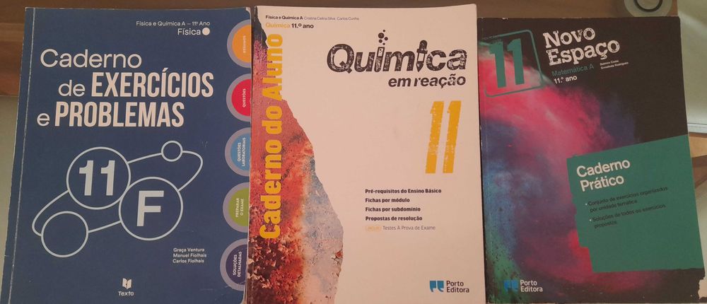 Cadernos atividades 11° ano
