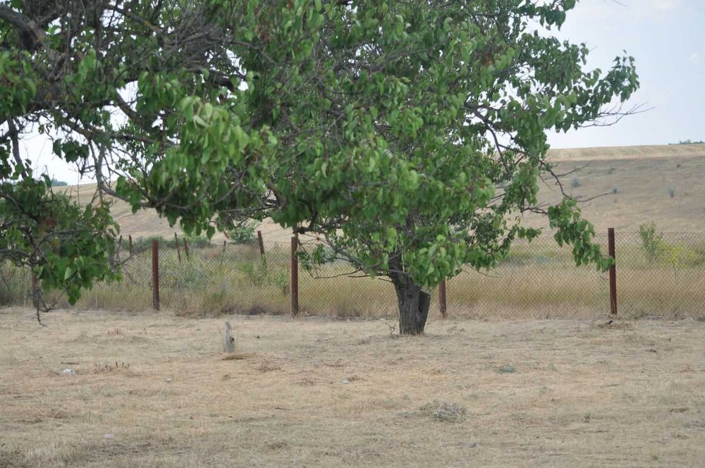 Светлое(Одеська область)участок на Нових дачах з гарним краєвидом