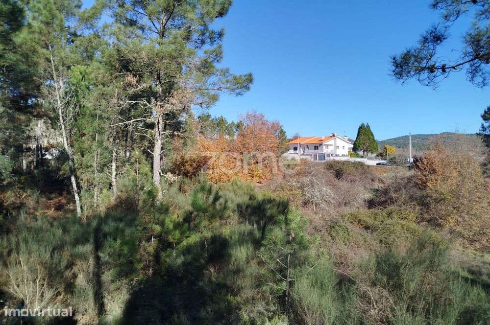 Terreno Único à Venda no Coração do Vale do Demo – Moimenta da Bei...