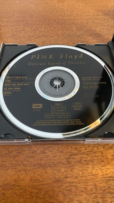 Pink Floyd Album “Delicated Sound of Thunder” LIVE