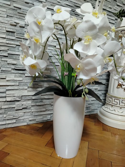 Латексна орхідея