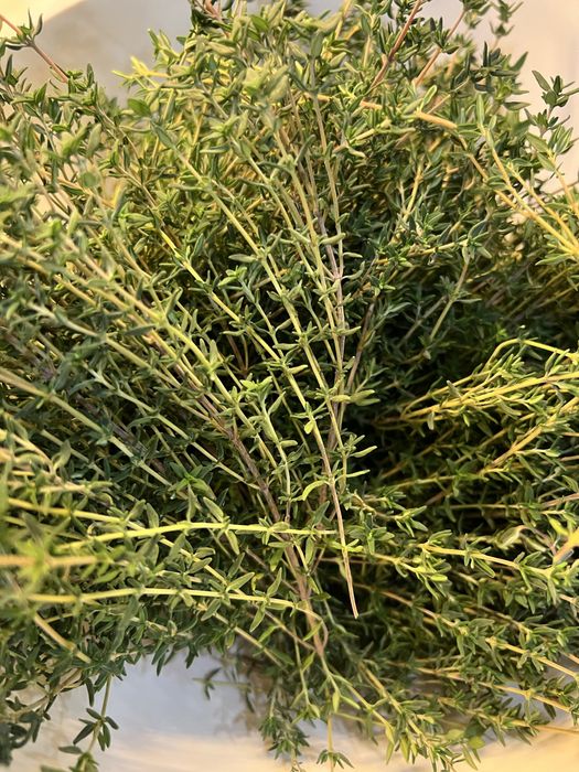 Чабер (тимʼян) свіжий.