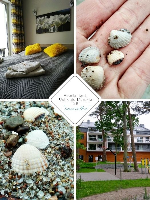 Apartament ,,Dwie Sosny'' z widokiem na morze! Sauna!Jacuzzi!Fitness!