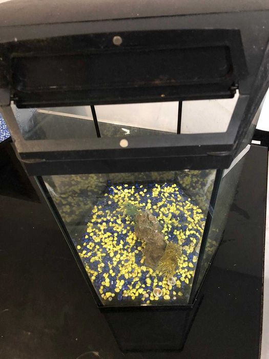 Vendo aquário, tem por volta de 25 litros!!