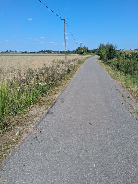 Działka z przeznaczeniem na siedlisko 5min od centrum kalisza - Widok 3