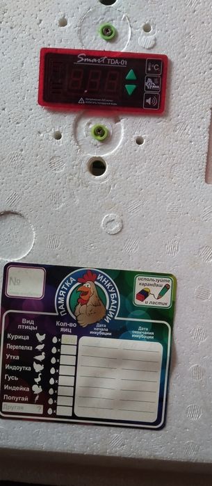 Продам інкубатор рябушка з универсальним модольом переворота яиц