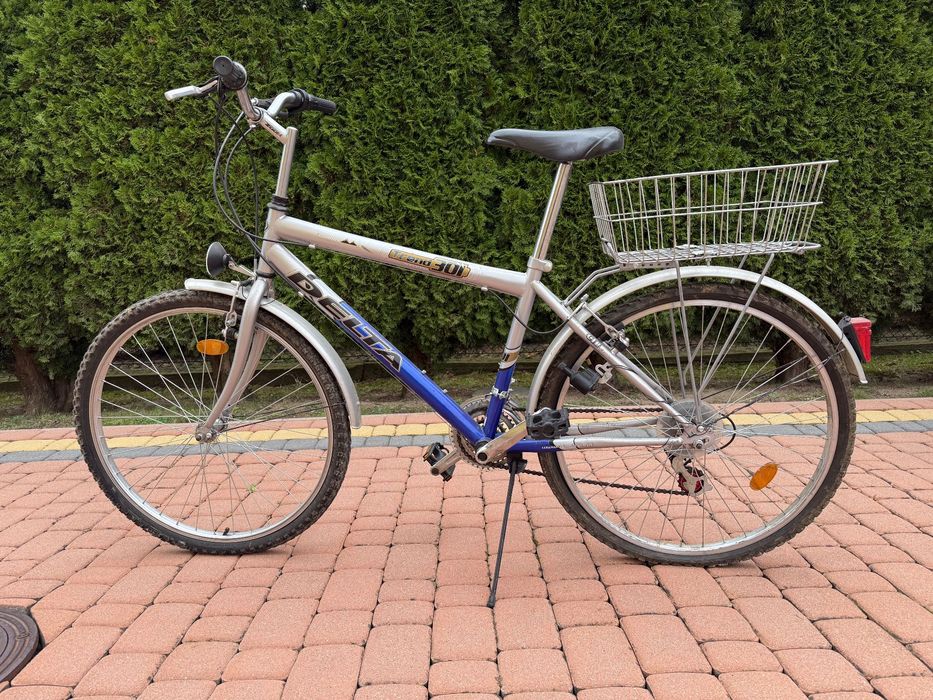 Rowery Arkus Delta Trend 301
