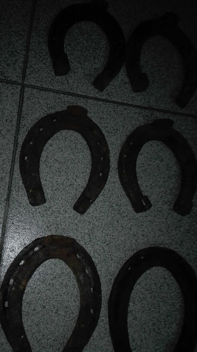 Ferraduras de equideos