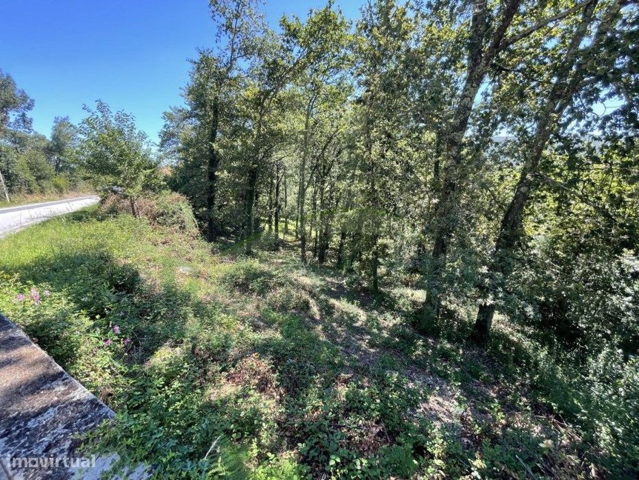 Terreno em Azevedo , Caminha para venda. — Venade E Azevedo, Viana do Castelo