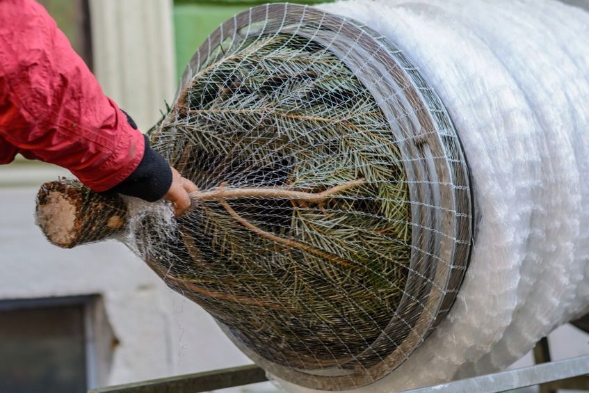 LZ45 Siatka rękaw do pakowania choinek 45cm x 300m