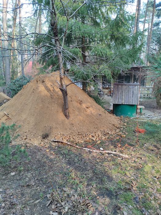 Oddam za darmo piasek