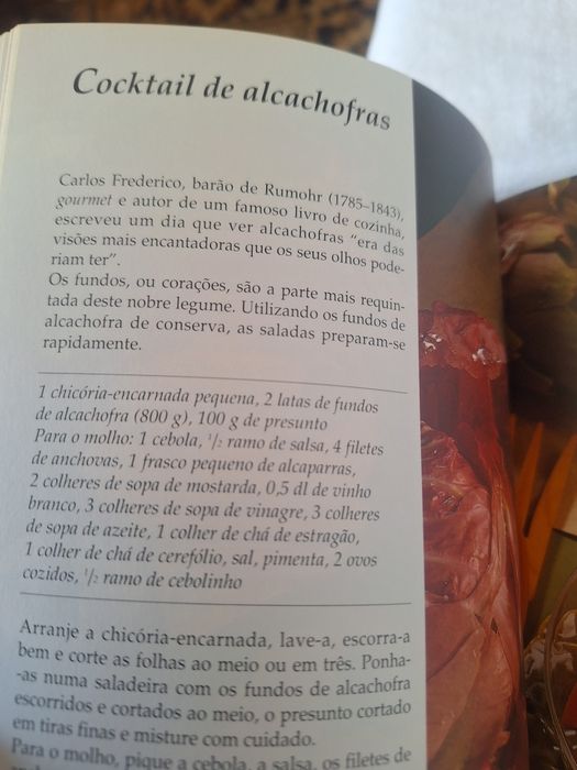 Livro Saladas  "Um Mundo de Sabores"