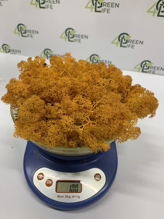 Мох стабілізований