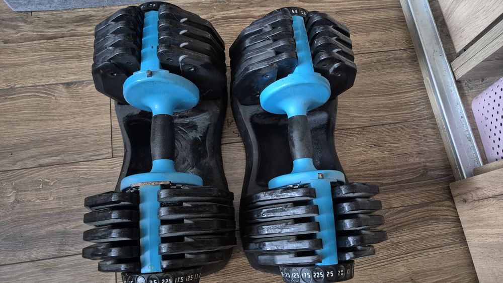 Hantle Mens Healt 2x 25kg