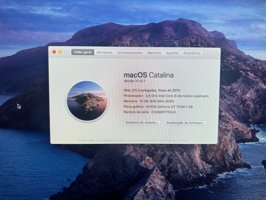 imac 21,5'' 2013 teclado e mouse apple