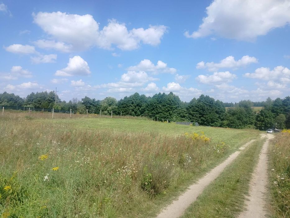 Zdjęcie 7