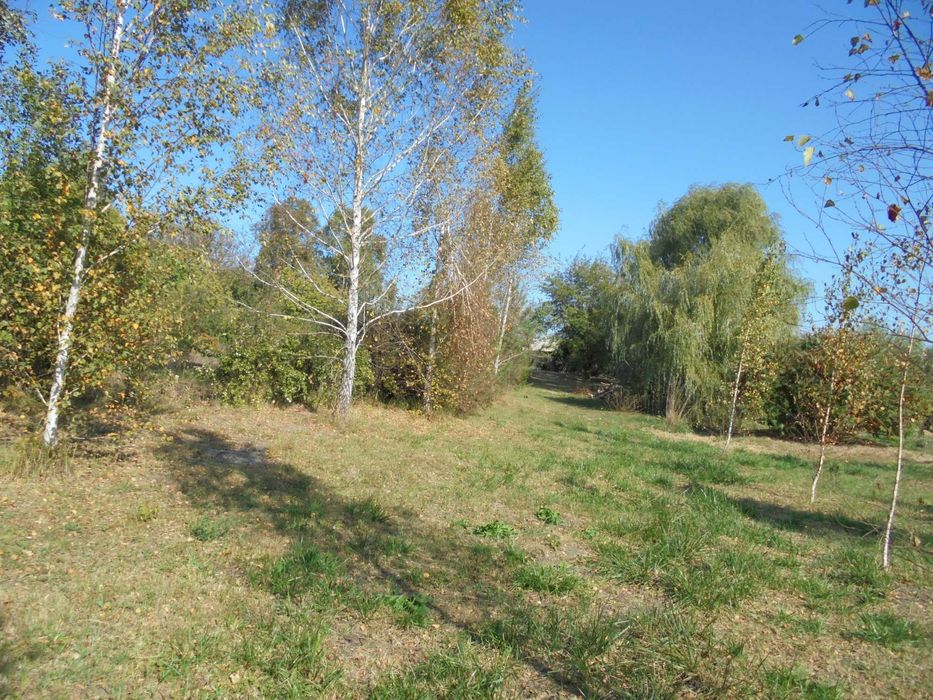 Предоставлю жильё бесплатно.