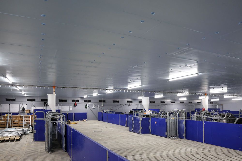 Izolacja Obory Chlewni Tuczarni Kurnika Wiaty Hali Styrodur XPS AGRO