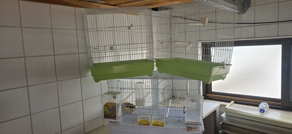 Gaiolas para canários
