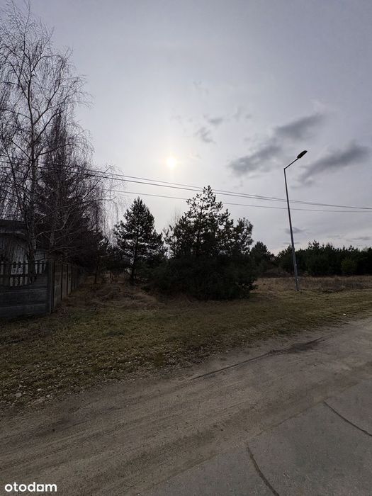 Działka budowlana Słonecznikowa 11 Pniewy