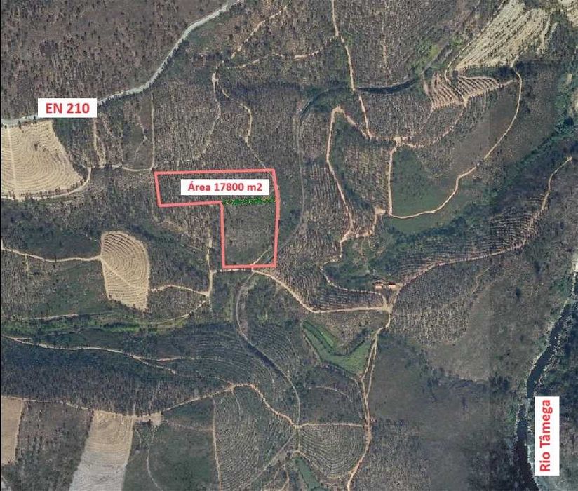 Terreno rústico (1,7 hectares) freguesia de Arnóia - Celorico Basto