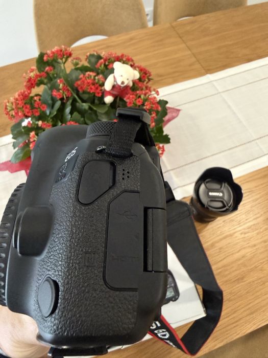 Canon 6d Mk2 + Canon 24-105 f4 IS - Conjunto como novo