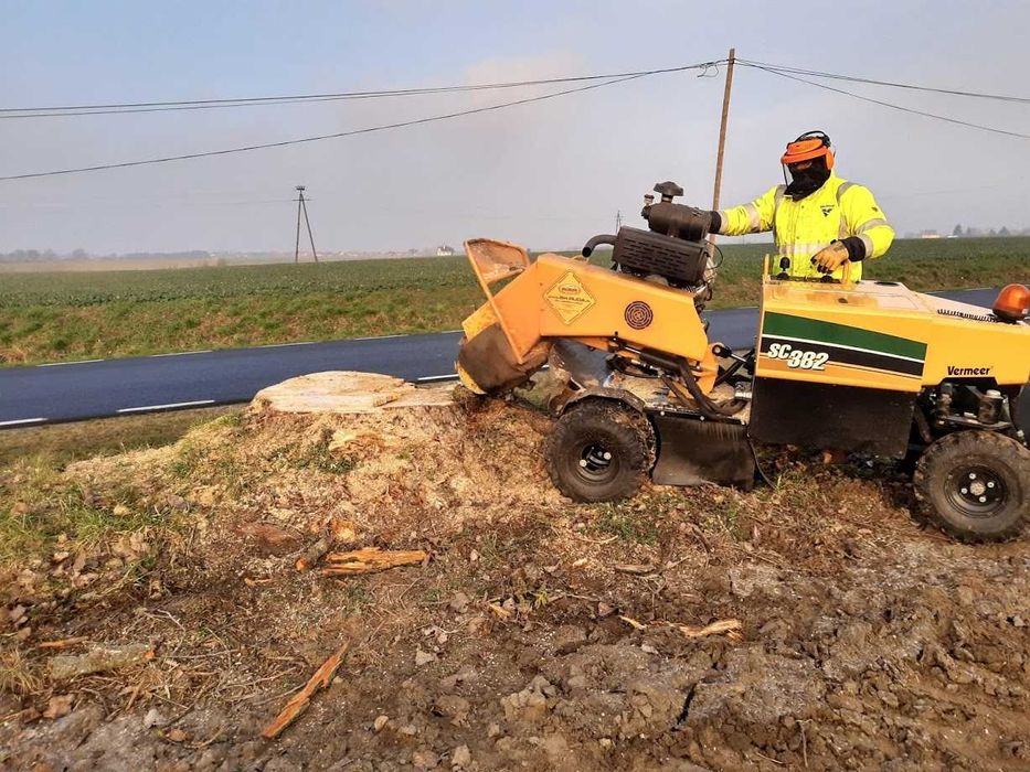 Usługa Frezarką Frezowanie Karp Usuwanie Pni Korzeni Karczowanie pni