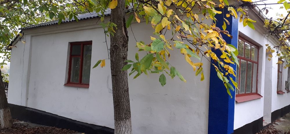 Продається будинок в центрі села Синицівка