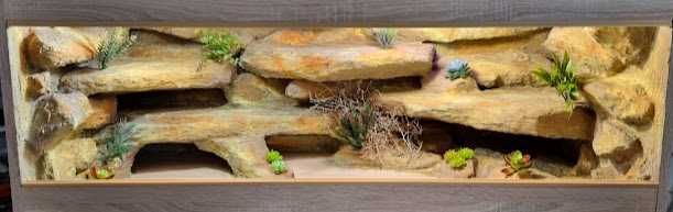 Terrarium na zamówienie dla agamy 100x40x40