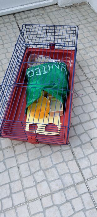 Gaiola para hamster como nova