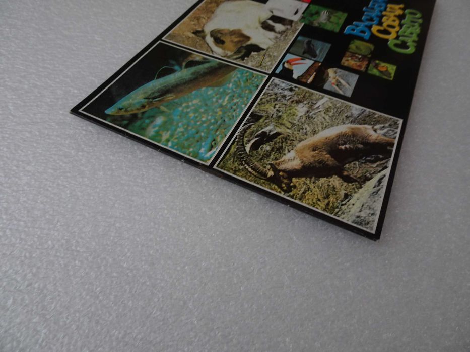 Caderneta de cromos vazia - Bacalhau, cobaia e cabrito